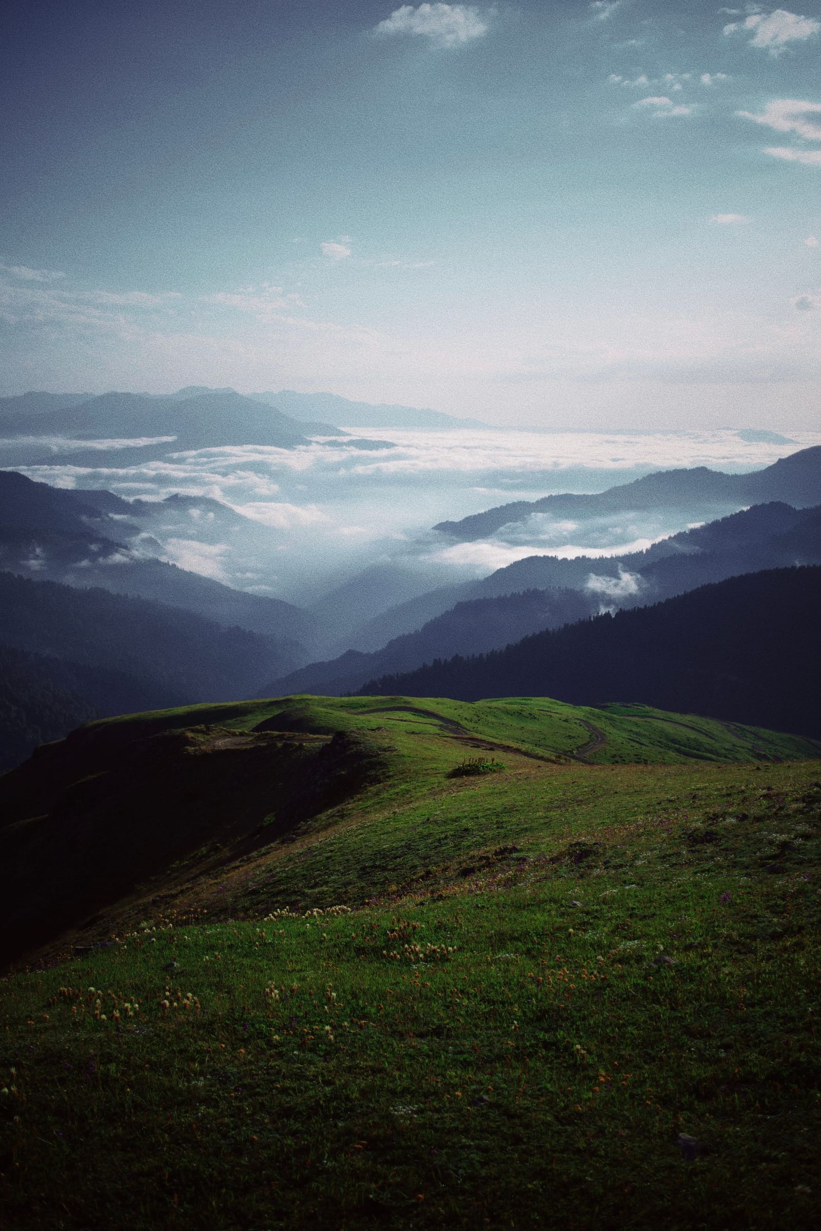 Green mountain ridge above cloud in western Romania