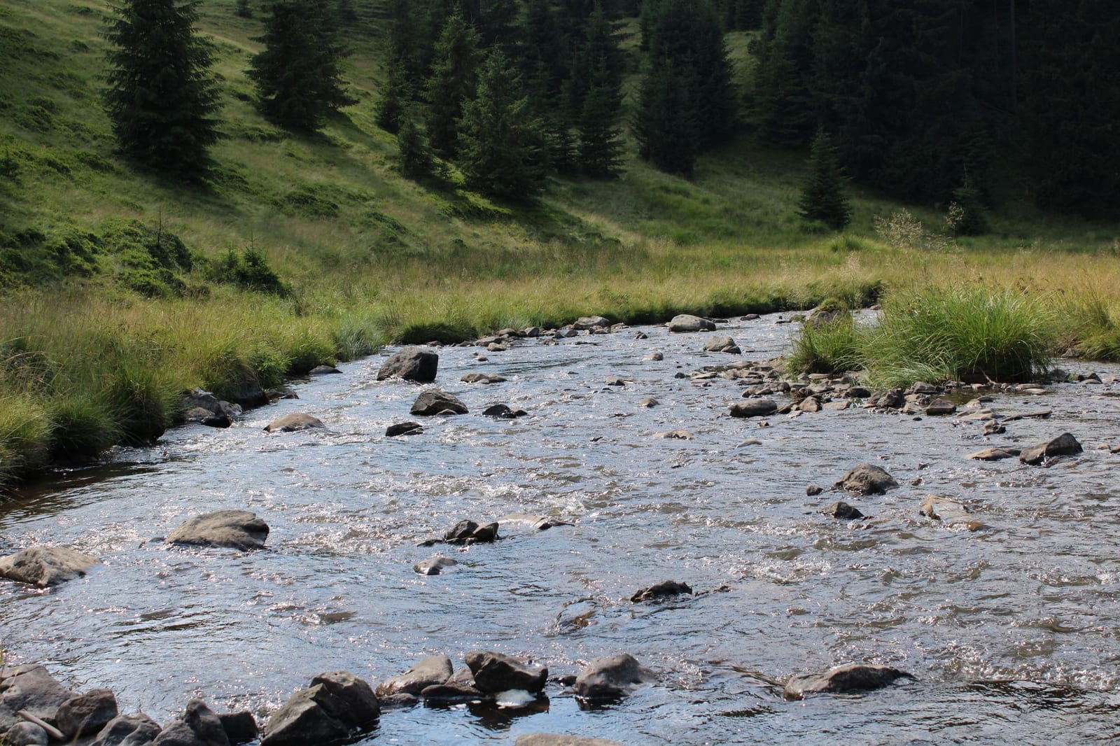 Countryside stream and green valley in Maramureș