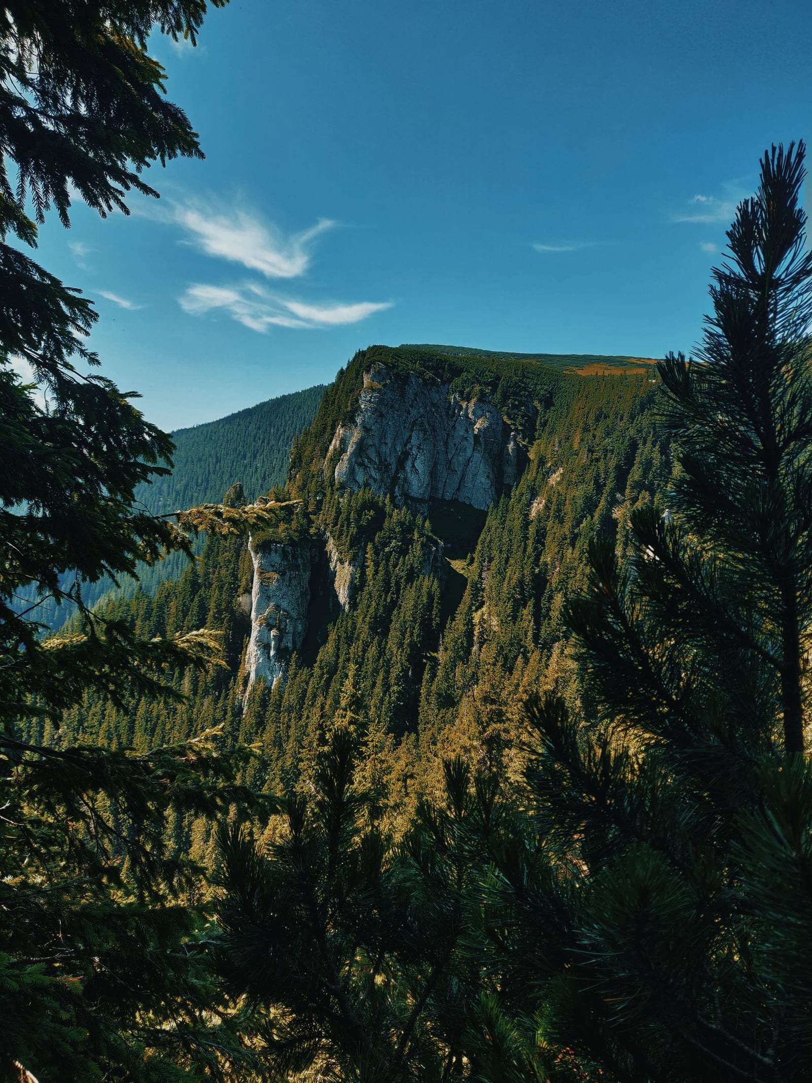 Forested mountain landscape near Bicaz, Romania