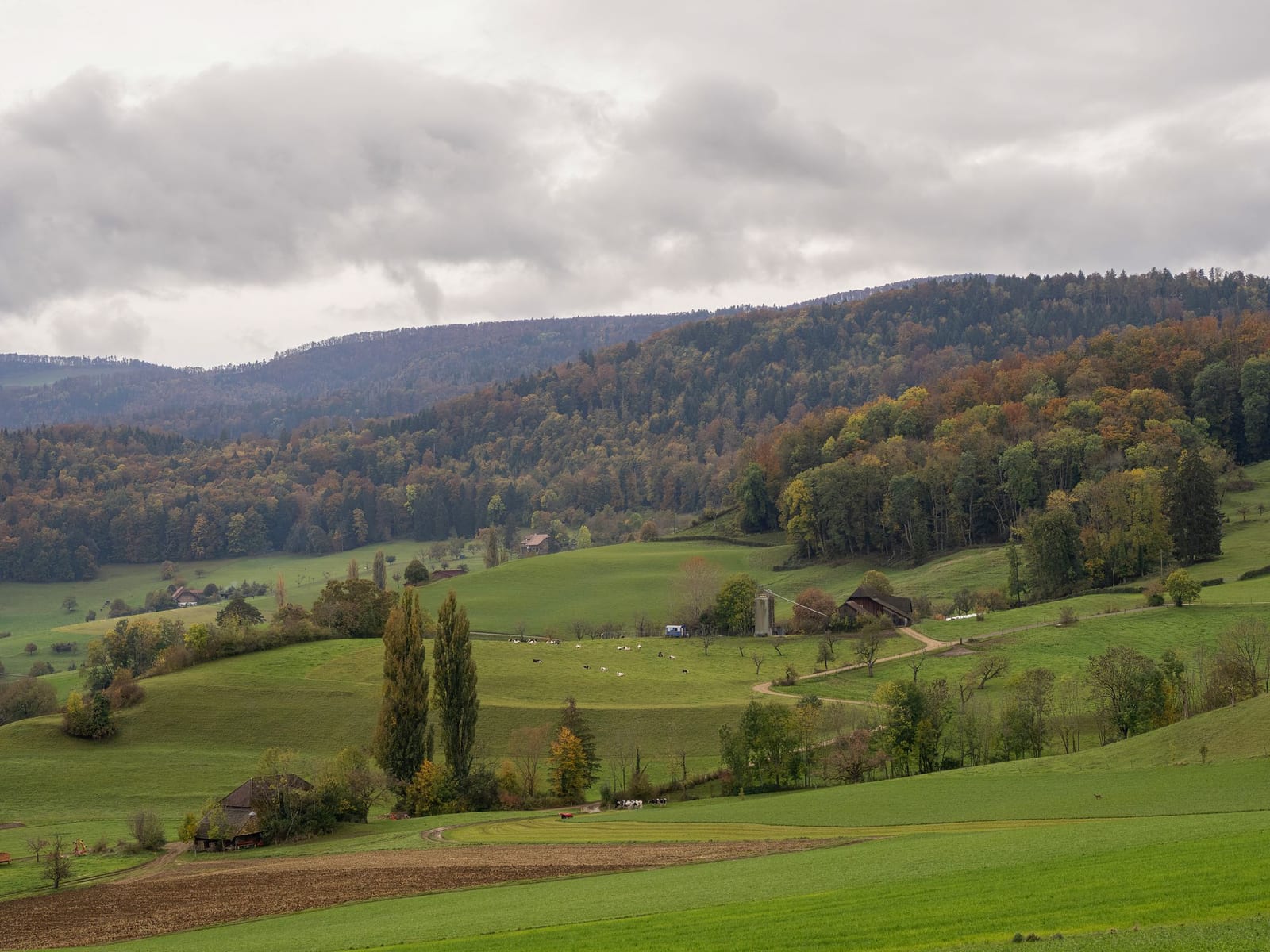 Monastery and river valley scenery in Oltenia, south-western Romania
