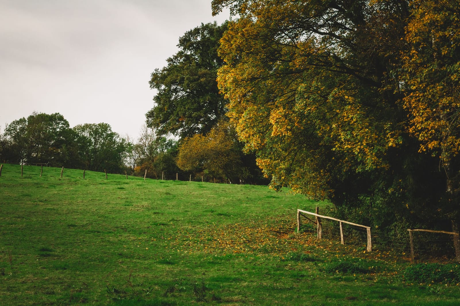 Rolling green countryside in Oltenia