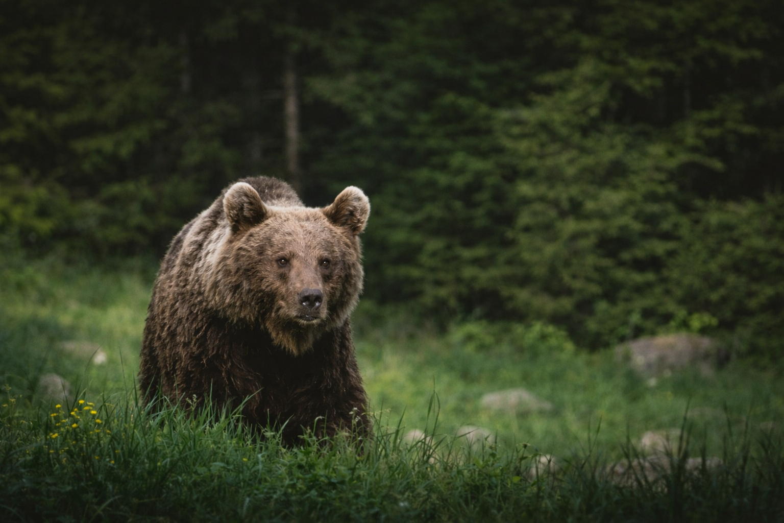 Travel scene with open space and natural light