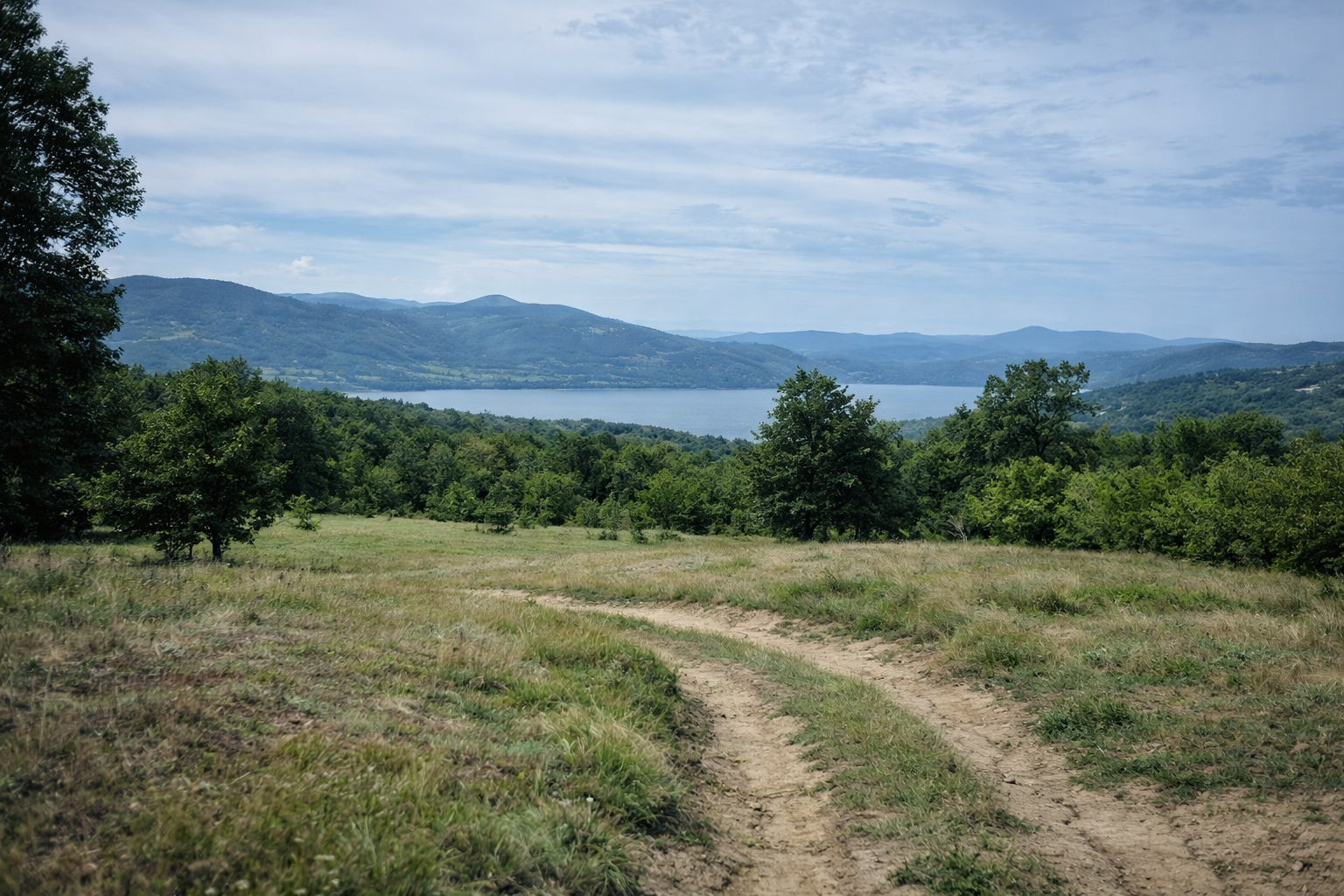 Rocky shoreline and water surface details