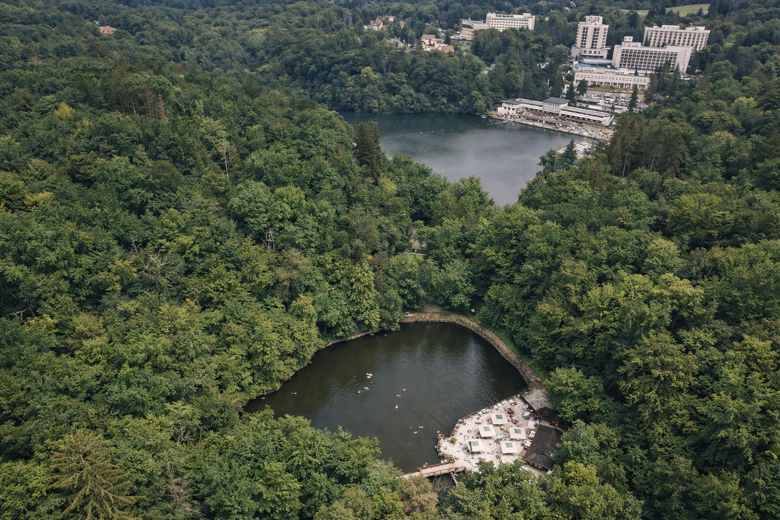 Forest path near lake water at soft light